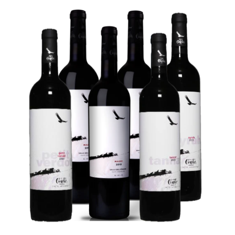 Condor Valley Select 6-Pack