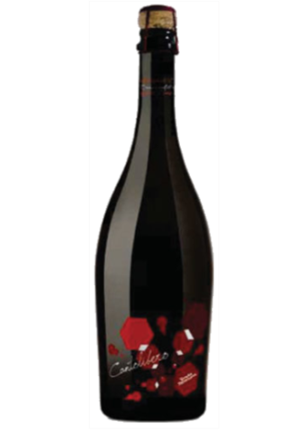 Pederzana Lambrusco Cantolibro 2015